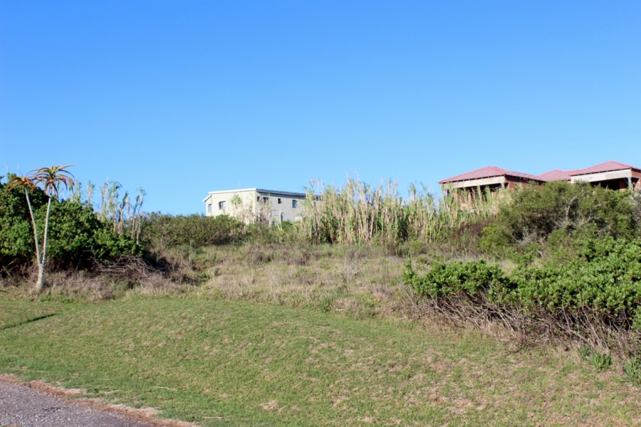 0 Bedroom Property for Sale in Forest Downs Eastern Cape